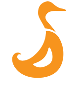 The Duck